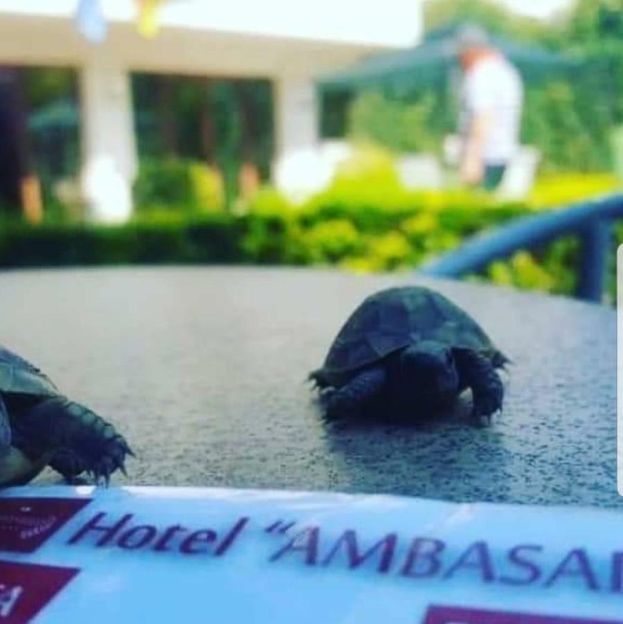 Hotel Ambasador Garden เลเจอ ภายนอก รูปภาพ